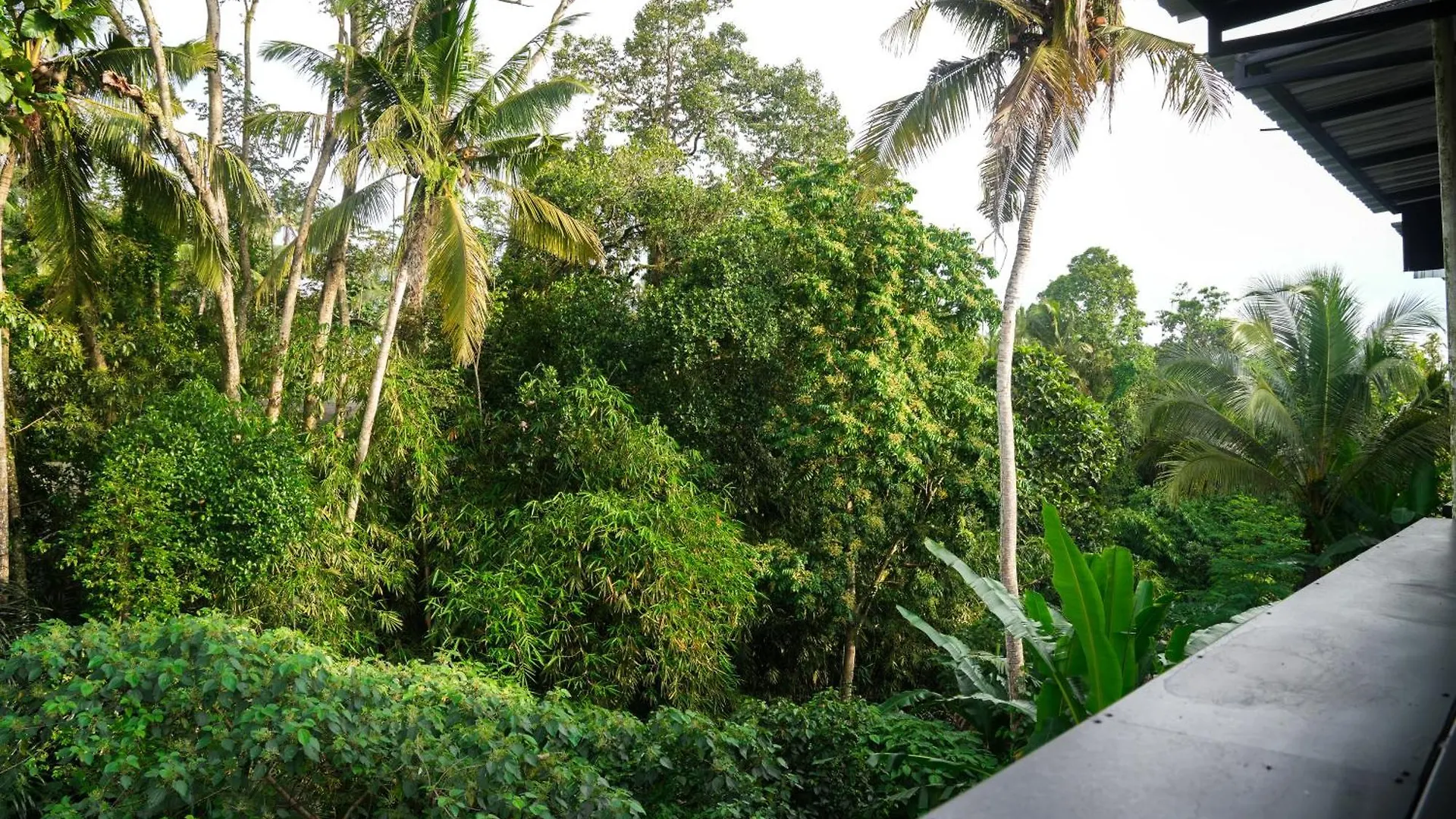 House Of Semar Sari Hotel Ubud  Guest house Ubud (Bali)